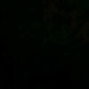 sebas12_ff