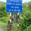 nguyenhuy13089