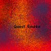 guest_smoke_dimon