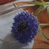 flowezmipcm