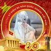 viduc245