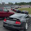 bagged4bangstang