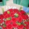 hng.nhung733