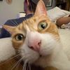 funnyusername1047