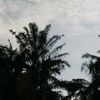 sslengkap09