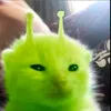 axial_scp