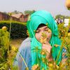 user3960023511880