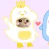 nh.nmvd