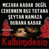 yldray811