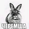 pelmen32.28
