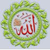 shera_bbas_432