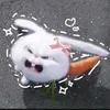 ziie_211