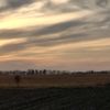 uliana_76542