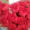 adnanali77889966