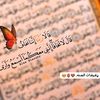 user3861393471815