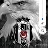 41besiktasli