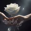 user7282400704171