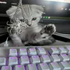 outmuslb