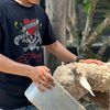 ettoo_6
