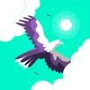 user293090521
