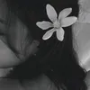 ty_he13