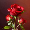 erdshubee_67