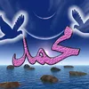 user4258424540015