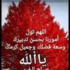user34969581322242