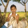 cabra_233