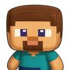 steve_chido