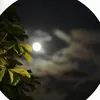 riammahmoud3