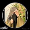 user3081277381082