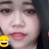 noviagis