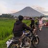 raflii981