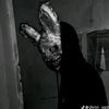 sm_satri_pinter