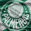 palmeirassss222