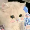 hellokaka4612