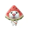 nta.htqii