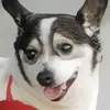 yubisubee