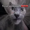 pringwasbanned