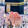 lamia.islam464