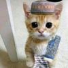 alizaid5814