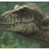 paleoguyy