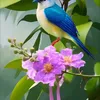 kimphuong250179