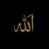 0nly_islam4_ever