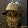 _zak15