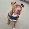 rhibaby_backup