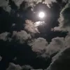 alhsavyvygq