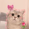 umie_moy.7