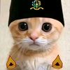bagusdwiardana0